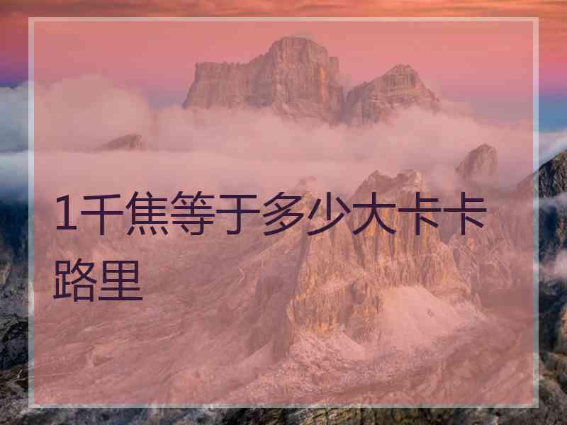 1千焦等于多少大卡卡路里 1千焦等于多少大卡卡路里