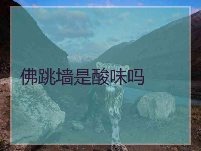 佛跳墙是酸味吗 佛跳墙是酸味吗