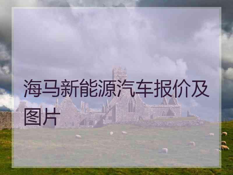 海马新能源汽车报价及图片 海马新能源汽车报价及图片
