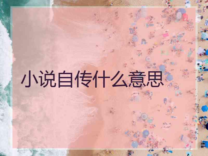 小说自传什么意思 小说自传什么意思