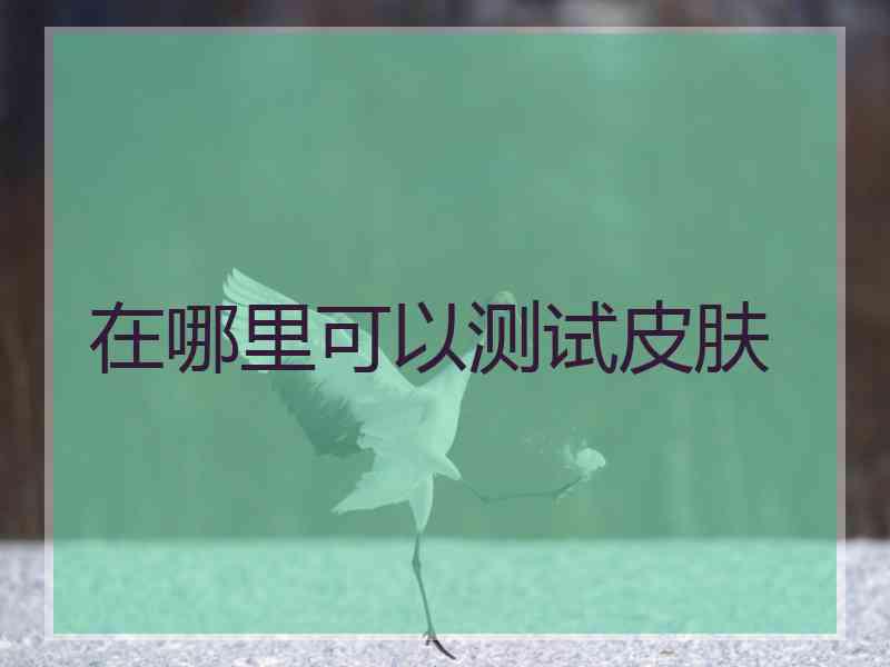 在哪里可以测试皮肤 在哪里可以测试皮肤