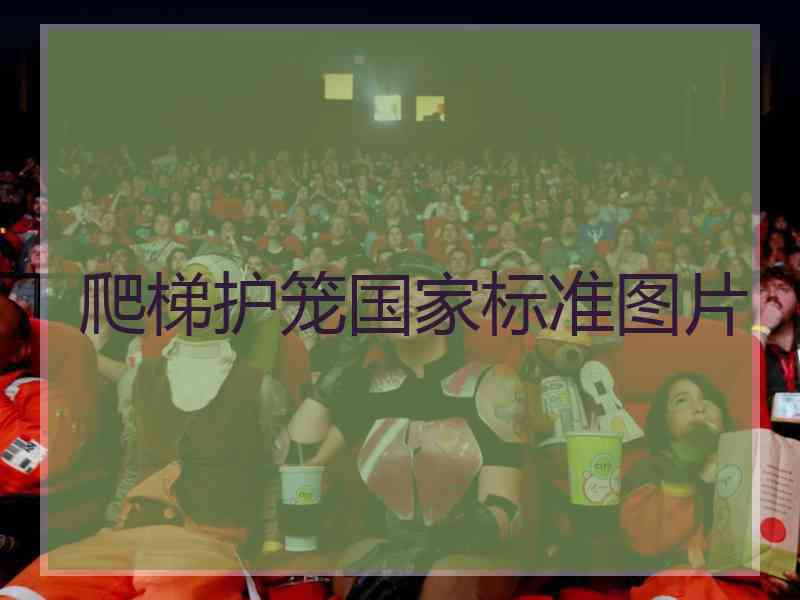 爬梯护笼国家标准图片 爬梯护笼国家标准图片