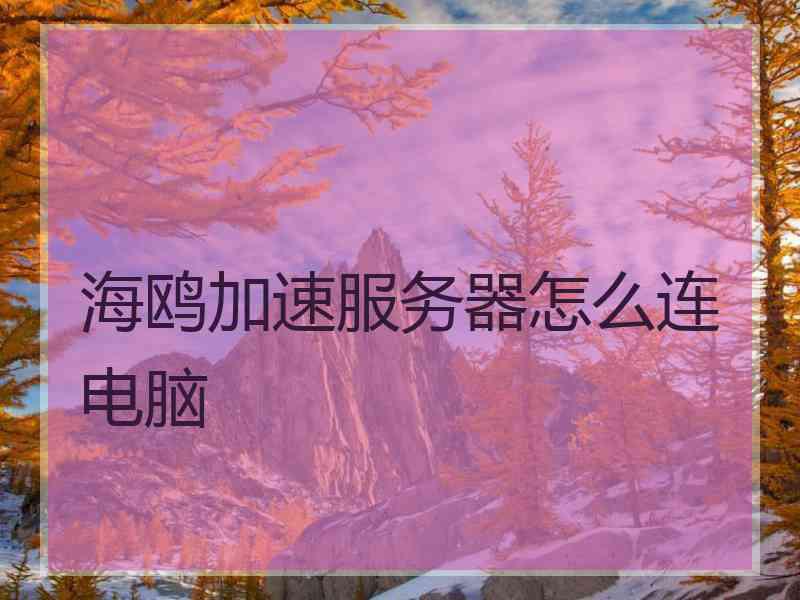 海鸥加速服务器怎么连电脑 海鸥加速服务器怎么连电脑