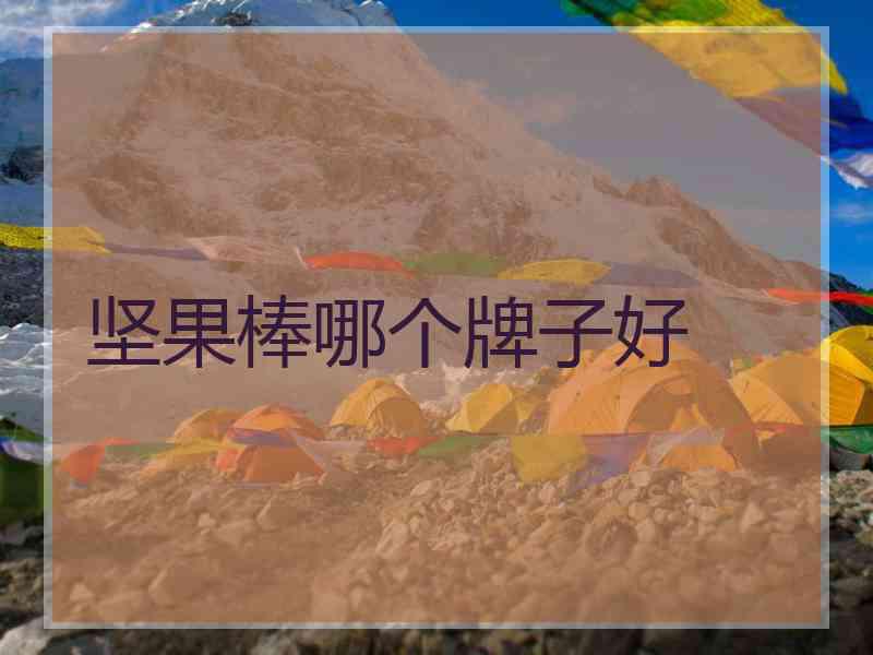 坚果棒哪个牌子好 坚果棒哪个牌子好