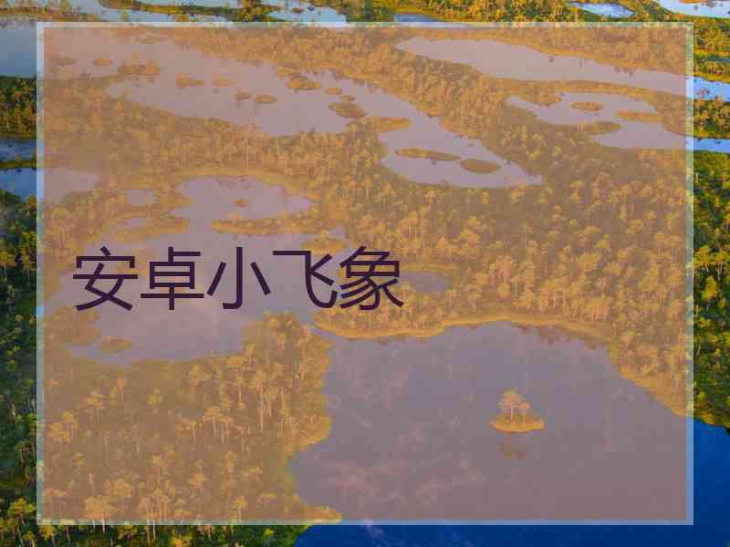 安卓小飞象 安卓小飞象