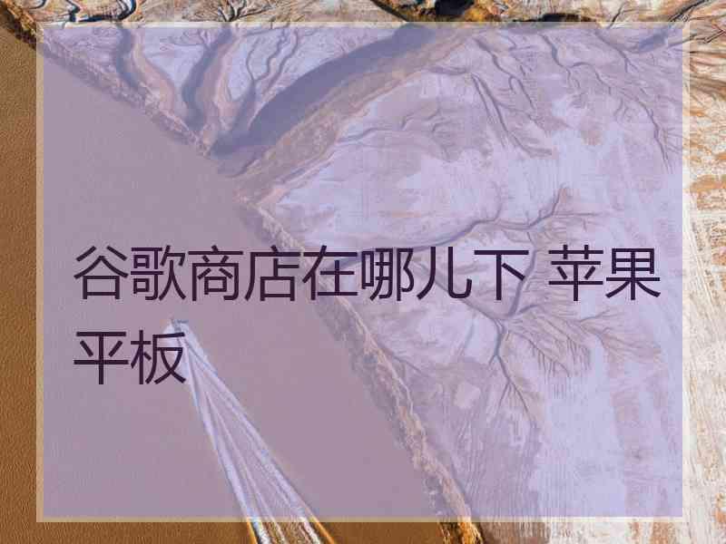 谷歌商店在哪儿下 苹果平板 谷歌商店在哪儿下 苹果平板