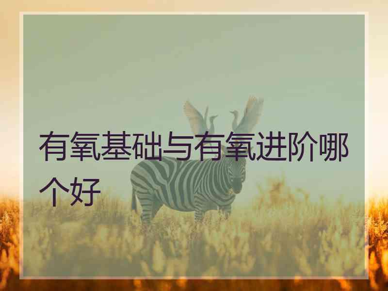 有氧基础与有氧进阶哪个好 有氧基础与有氧进阶哪个好