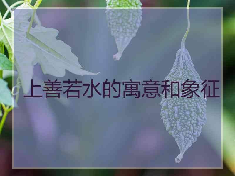 上善若水的寓意和象征 上善若水的寓意和象征