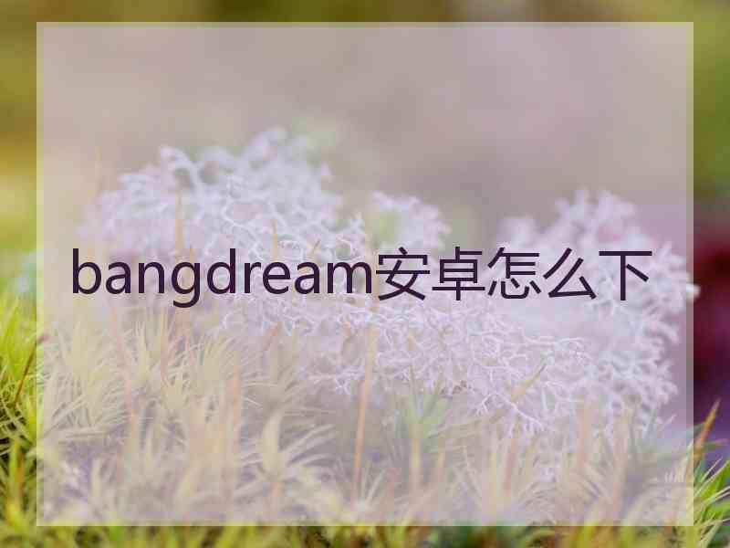 bangdream安卓怎么下 bangdream安卓怎么下
