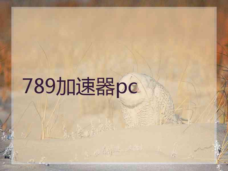 789加速器pc 789加速器pc