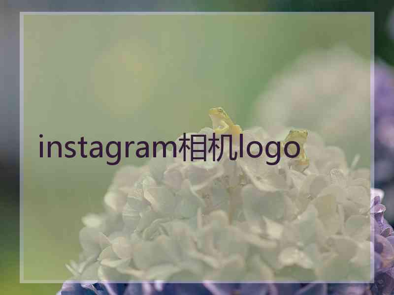 instagram相机logo instagram相机logo