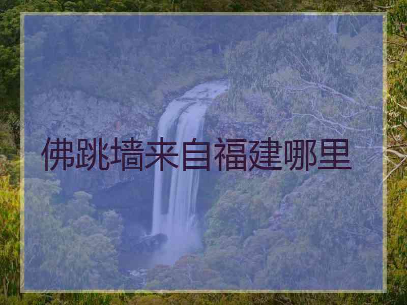佛跳墙来自福建哪里 佛跳墙来自福建哪里