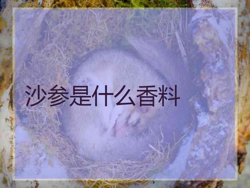 沙参是什么香料 沙参是什么香料