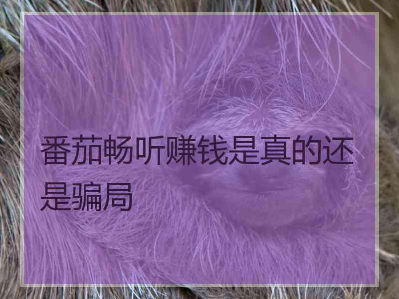 番茄畅听赚钱是真的还是骗局 番茄畅听赚钱是真的还是骗局