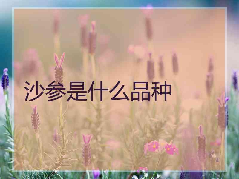 沙参是什么品种 沙参是什么品种