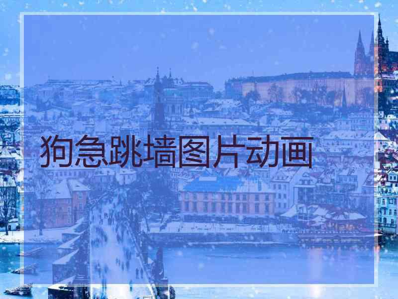 狗急跳墙图片动画 狗急跳墙图片动画