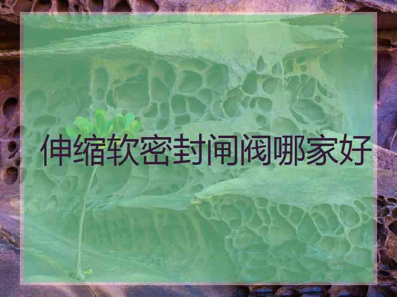 伸缩软密封闸阀哪家好 伸缩软密封闸阀哪家好