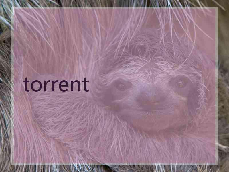 torrent torrent