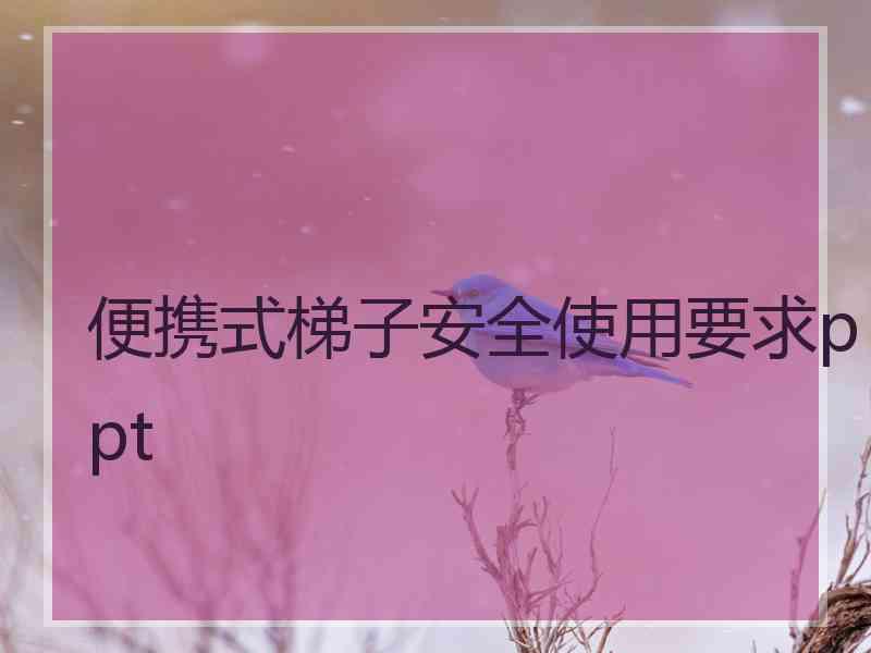 便携式梯子安全使用要求ppt 便携式梯子安全使用要求ppt