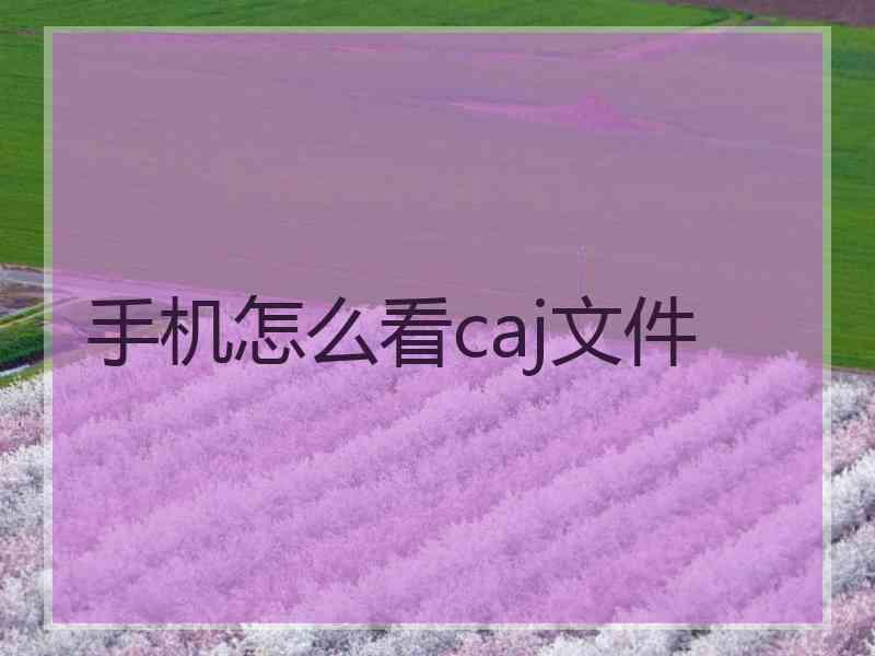 手机怎么看caj文件 手机怎么看caj文件