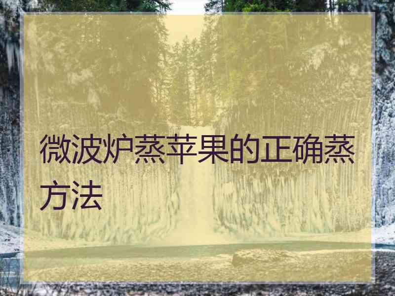 微波炉蒸苹果的正确蒸方法 微波炉蒸苹果的正确蒸方法