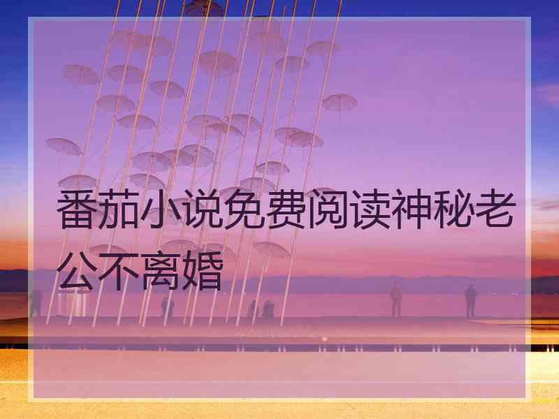 番茄小说免费阅读神秘老公不离婚 番茄小说免费阅读神秘老公不离婚