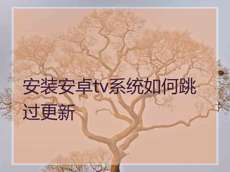 安装安卓tv系统如何跳过更新 安装安卓tv系统如何跳过更新