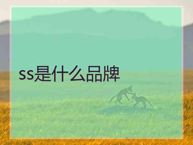 ss是什么品牌 ss是什么品牌