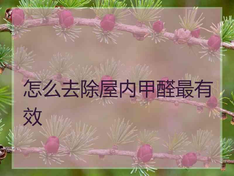 怎么去除屋内甲醛最有效 怎么去除屋内甲醛最有效