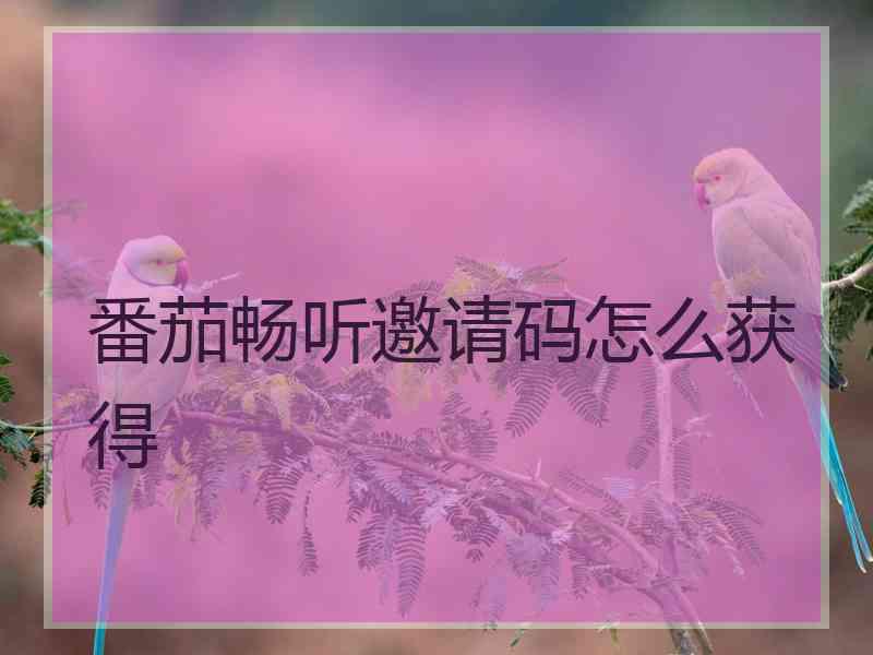 番茄畅听邀请码怎么获得 番茄畅听邀请码怎么获得