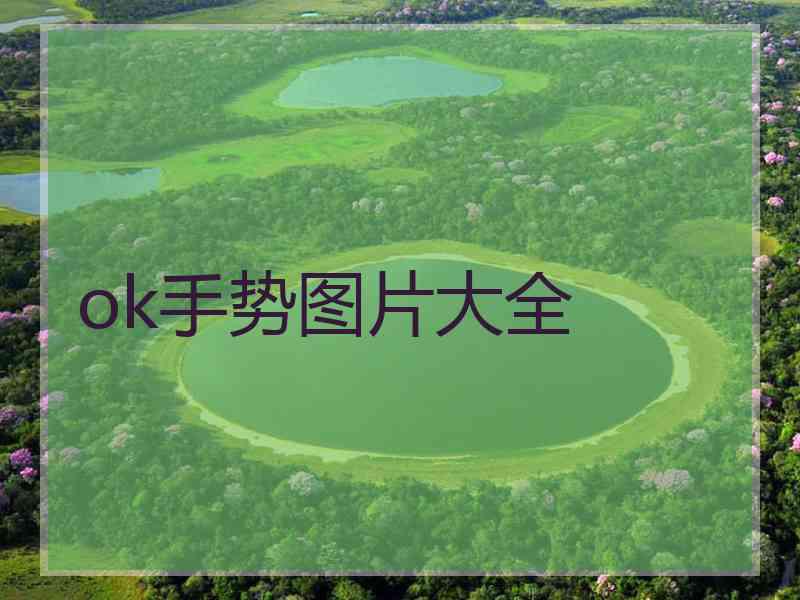 ok手势图片大全 ok手势图片大全