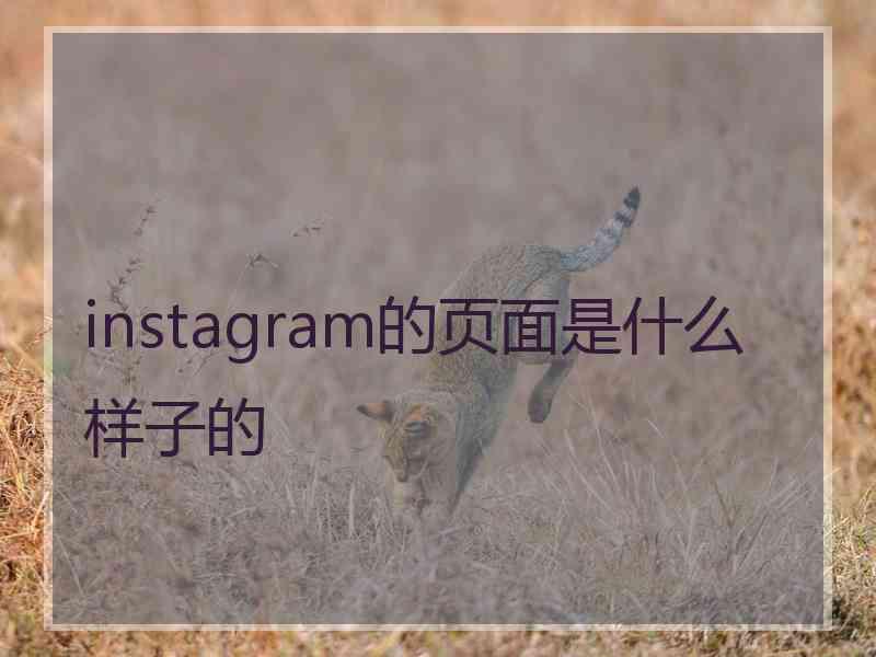 instagram的页面是什么样子的 instagram的页面是什么样子的
