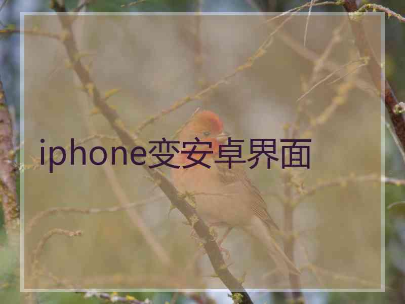 iphone变安卓界面 iphone变安卓界面
