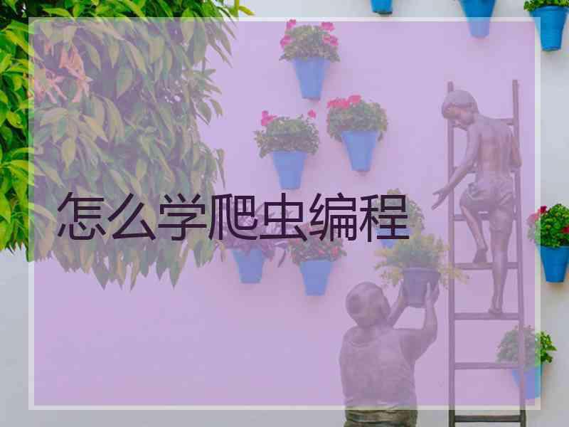 怎么学爬虫编程 怎么学爬虫编程