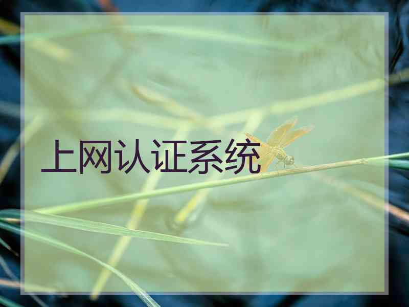 上网认证系统 上网认证系统