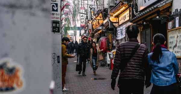 飞机 订阅地址 分享