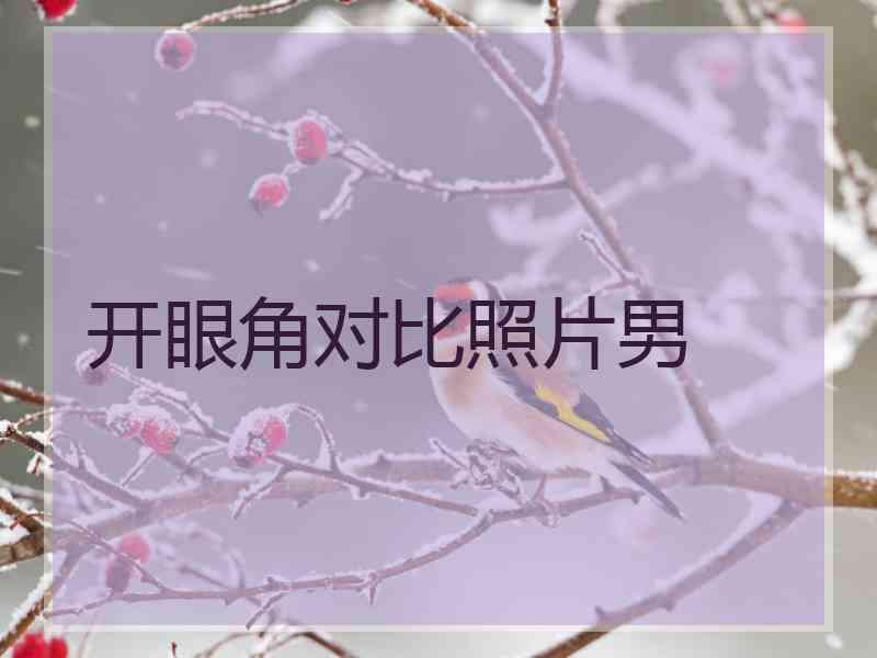 开眼角对比照片男