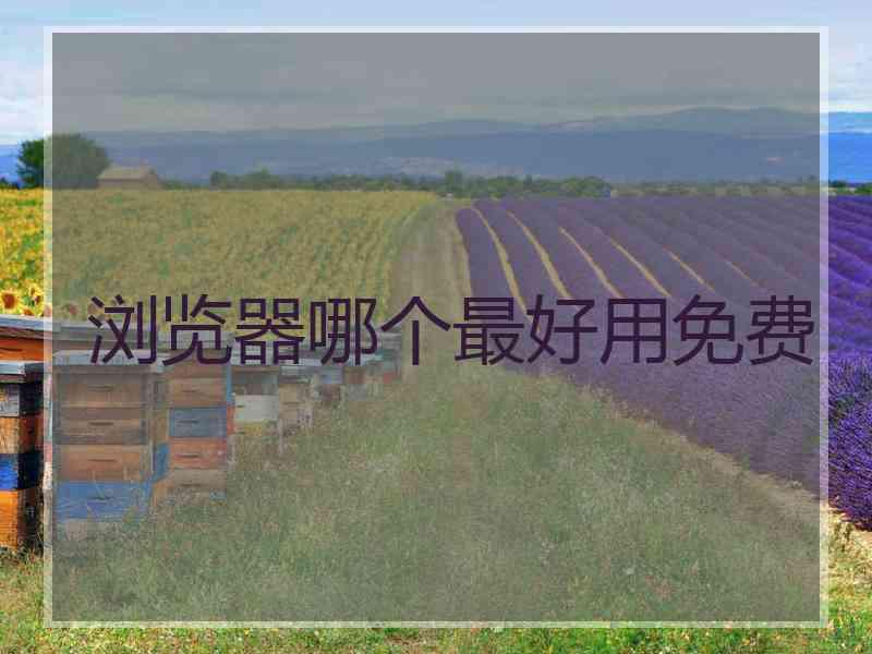 浏览器哪个最好用免费