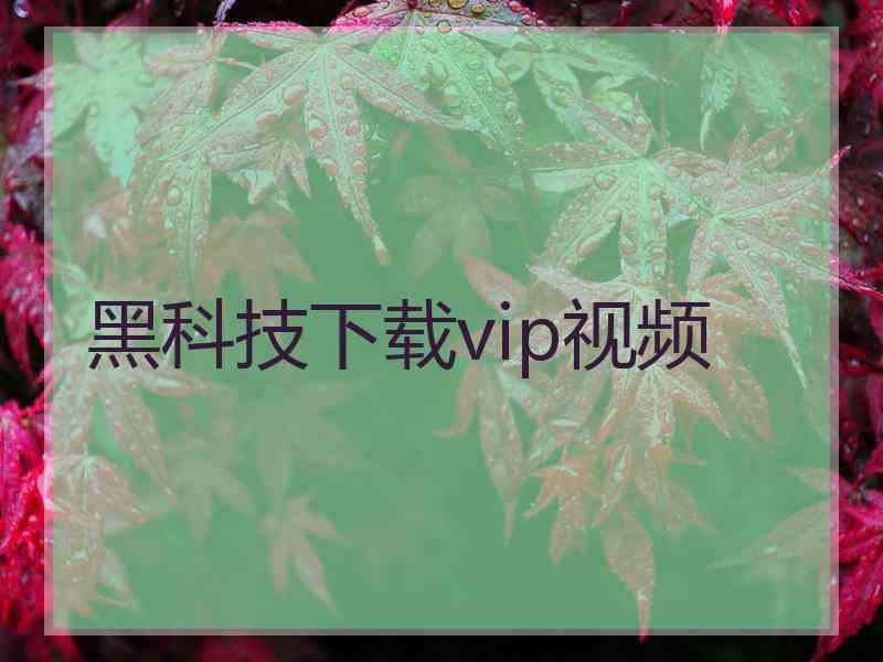 黑科技下载vip视频