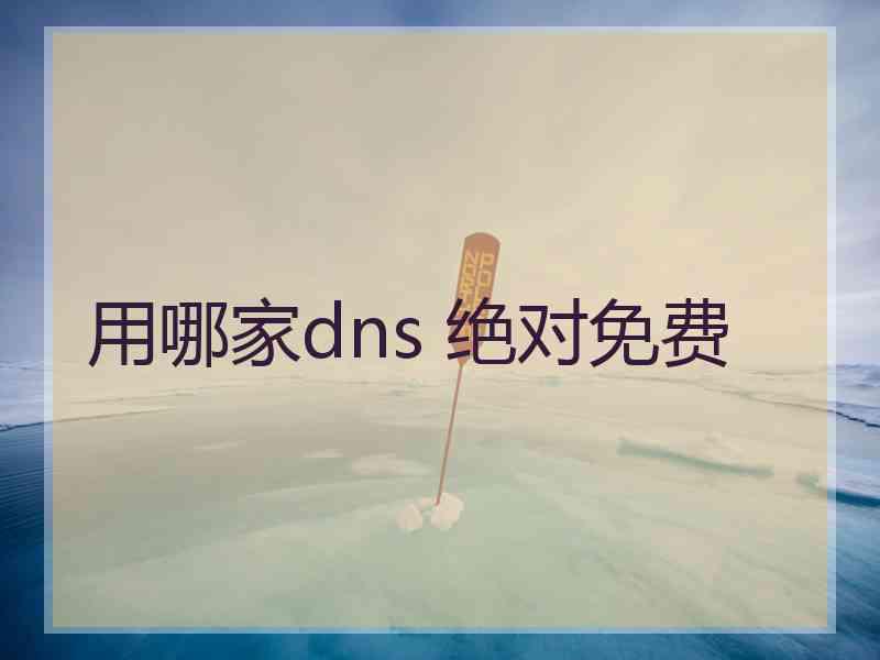 用哪家dns 绝对免费