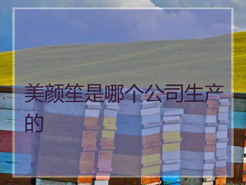 美颜笙是哪个公司生产的