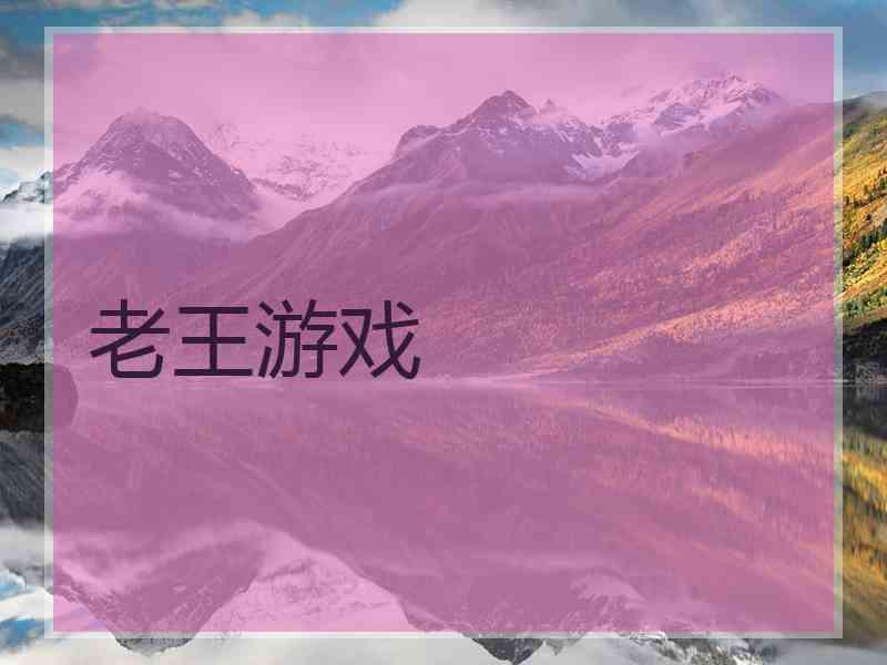 老王游戏