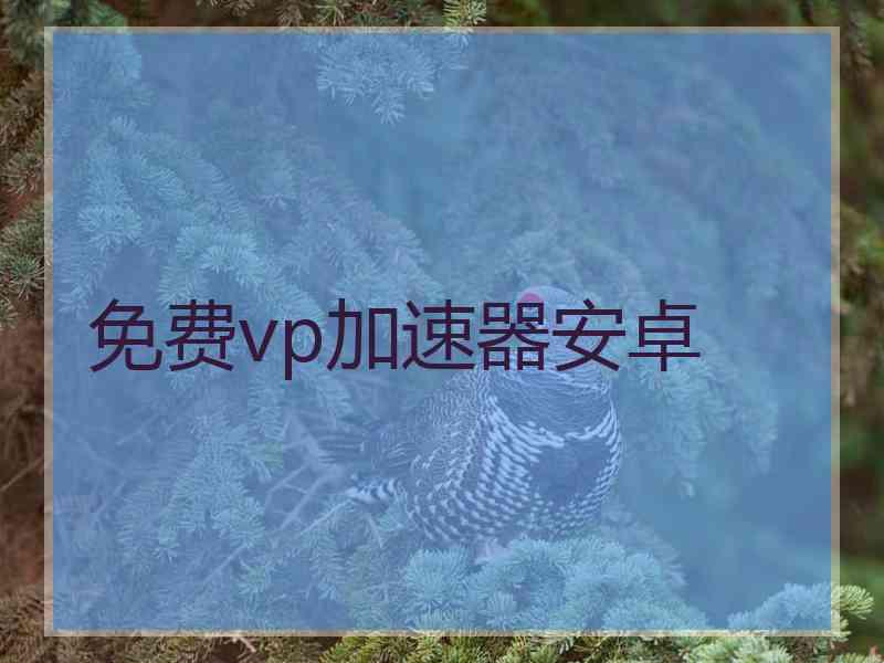 免费vp加速器安卓