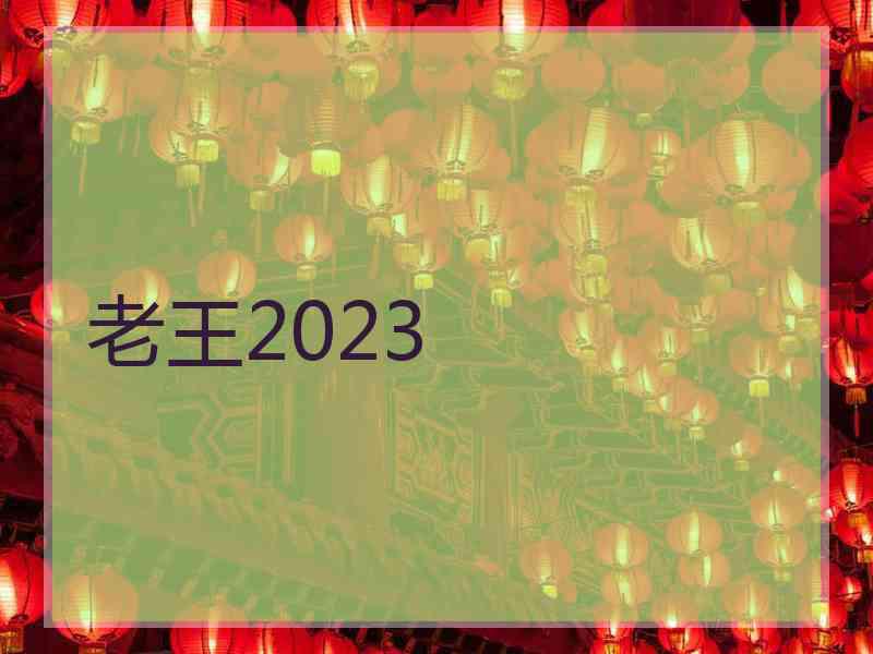 老王2023