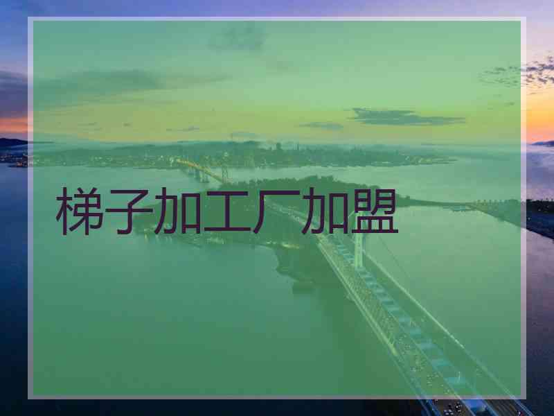 梯子加工厂加盟