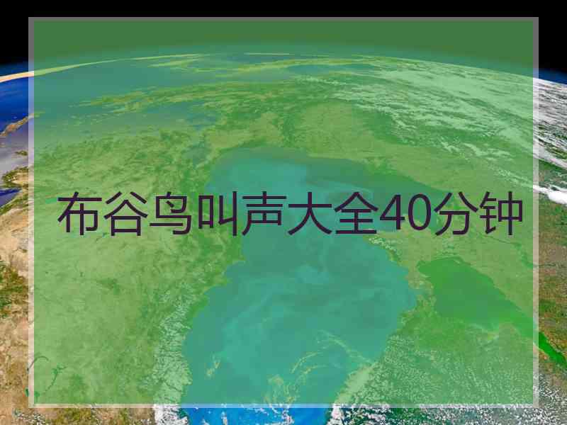 布谷鸟叫声大全40分钟