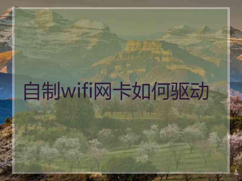自制wifi网卡如何驱动