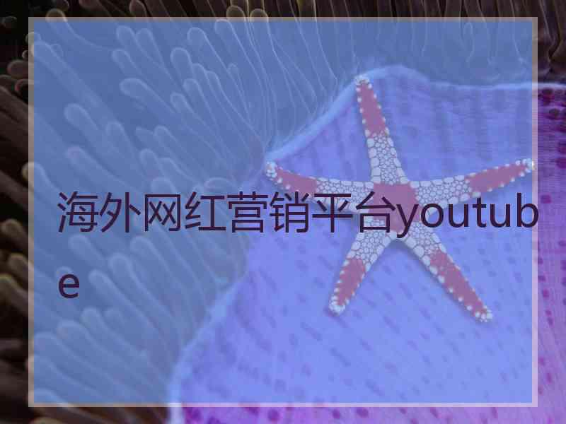 海外网红营销平台youtube