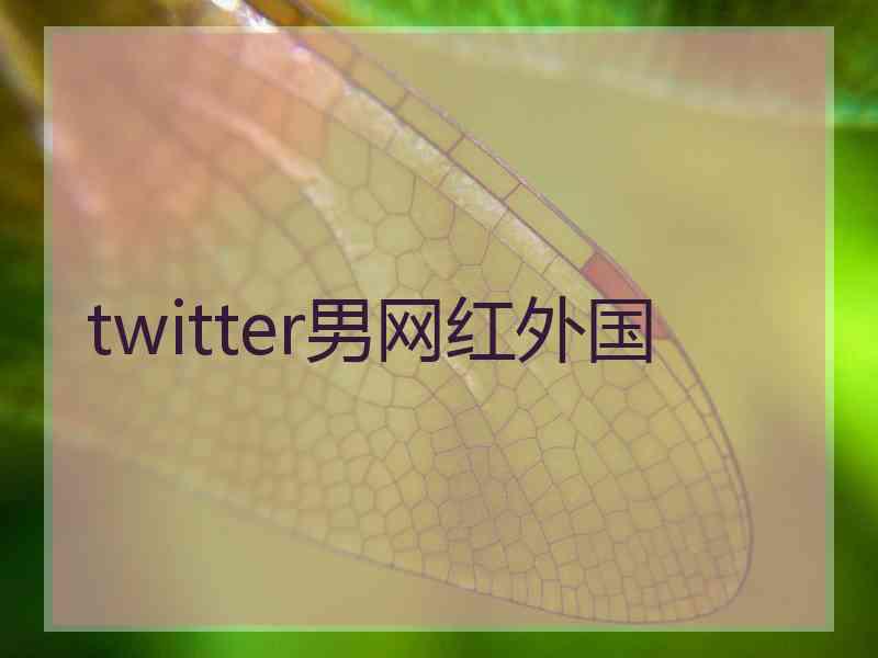 twitter男网红外国