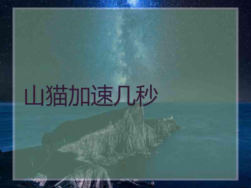 山猫加速几秒